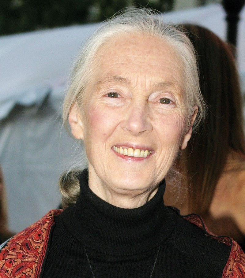 Jane Goodall, Honour of Ekotopfilm 2016